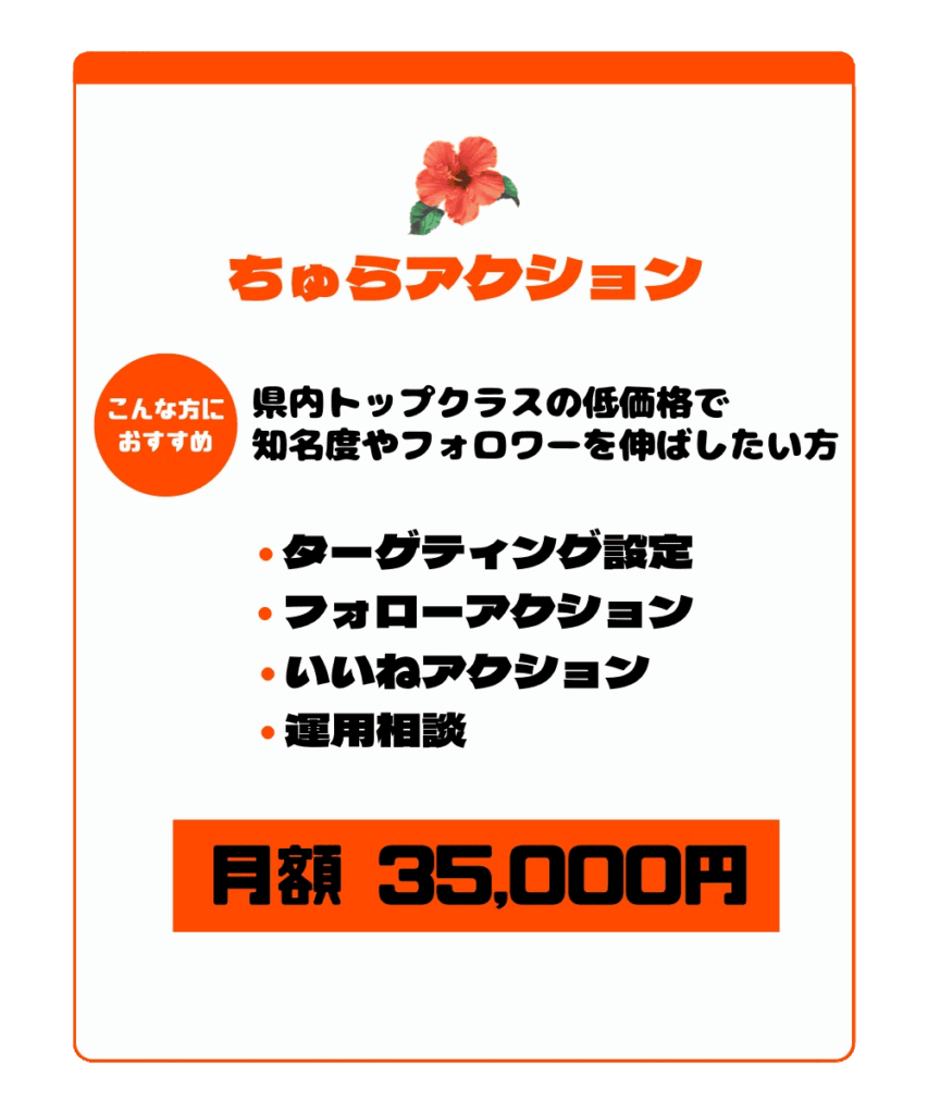 ちゅらアクション