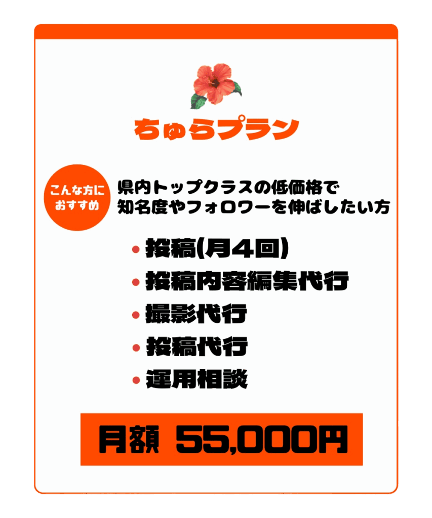 ちゅらプラン