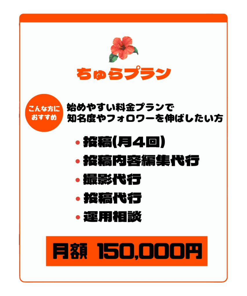 ちゅらプラン